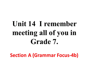 人教版九年级下册英语Unit14SectionA(GrammarFocus4b)课件.ppt