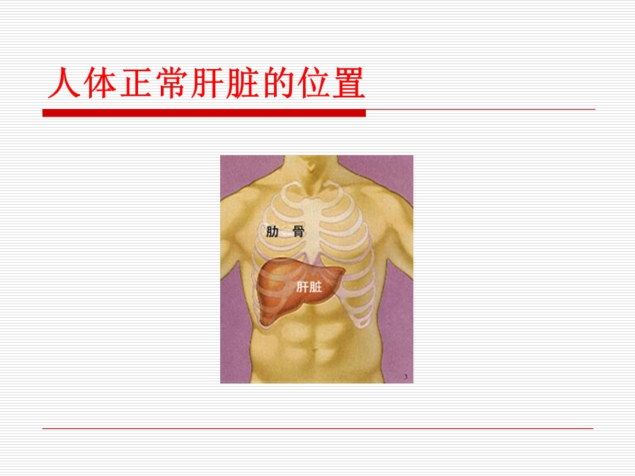 脂肪肝健康教育PPT课件.ppt_第3页