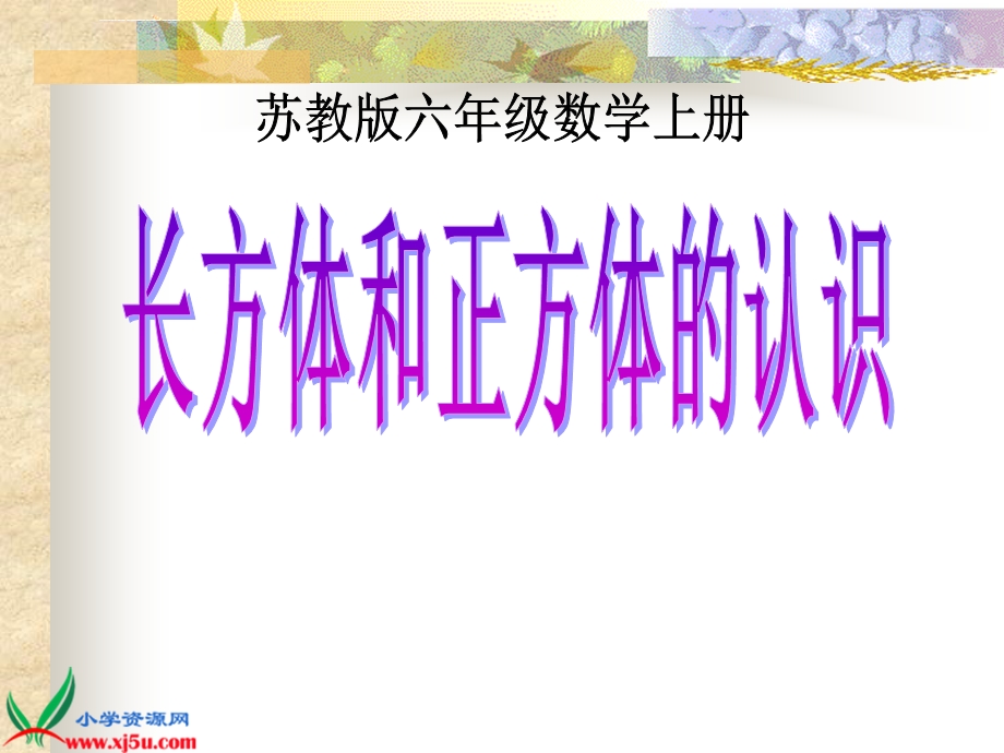 苏教版数学六年级上册《长方体和正方体的认识》PPT课件.ppt_第1页