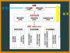 人教版新教材《孟德尔的豌豆杂交实验(一)》2课件.ppt