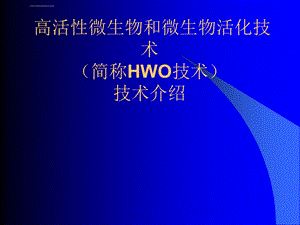 HWO污水处理技术介绍及广汇中试成果介绍ppt课件.ppt