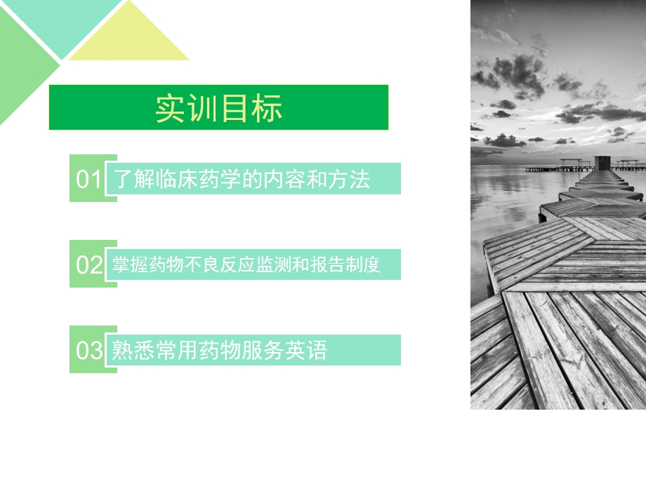 临床药学服务及药物不良反应监测 课件.ppt_第2页