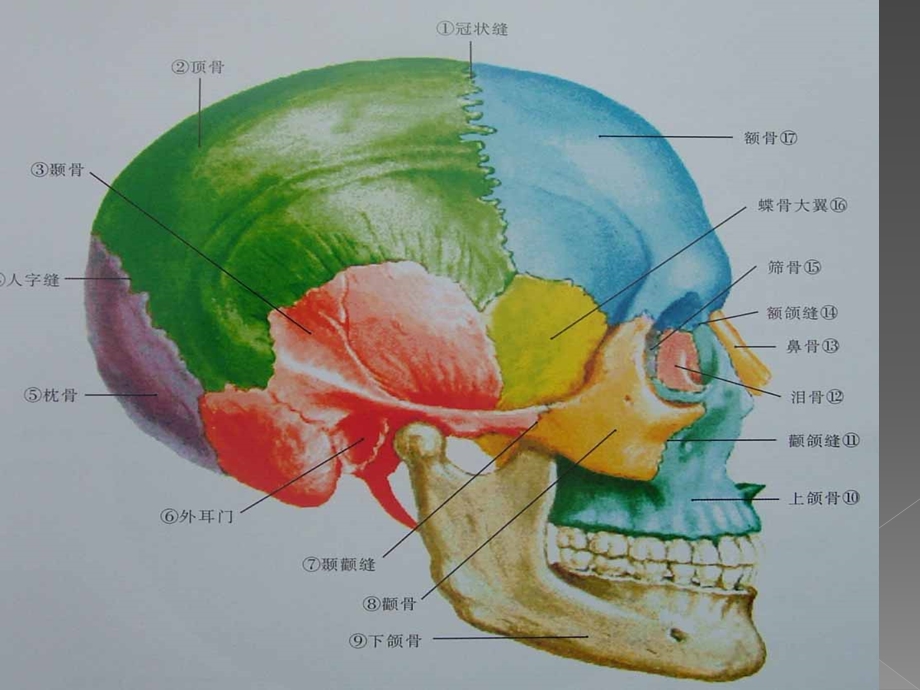 x线常见特殊体位ppt课件.pptx_第3页