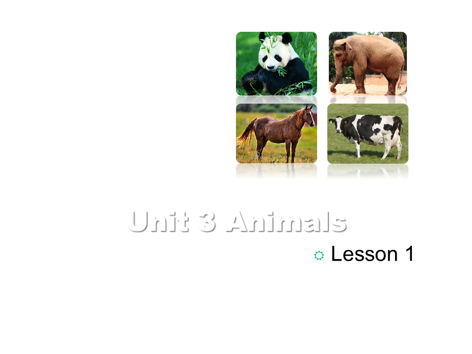 五年级英语上册Unit3AnimalsLesson1课件人教新起点.ppt_第1页