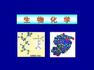 《生物化学糖》课件.ppt