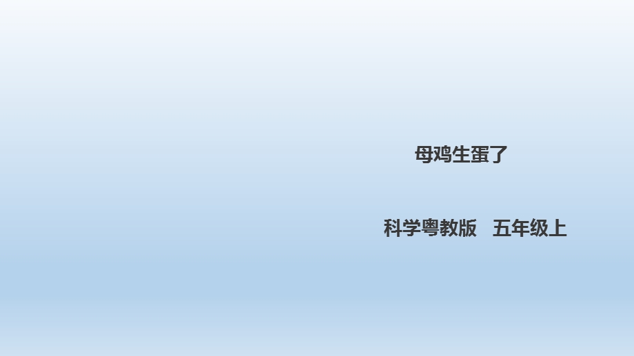 五年级上册科学《母鸡生蛋了》粤教版课件.ppt_第1页