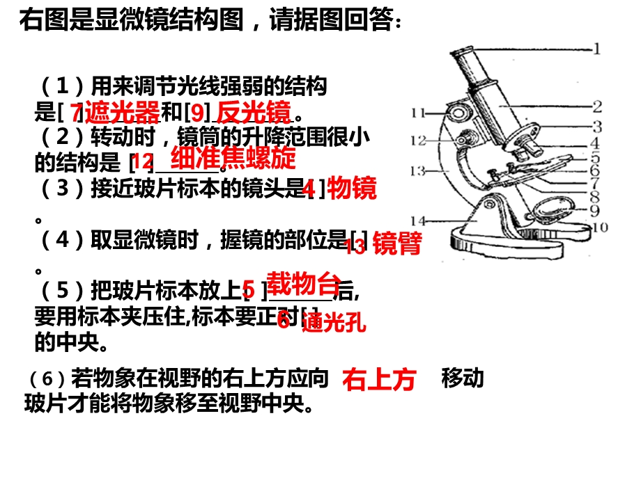 人教版七上生物识图题专项课件.ppt_第2页