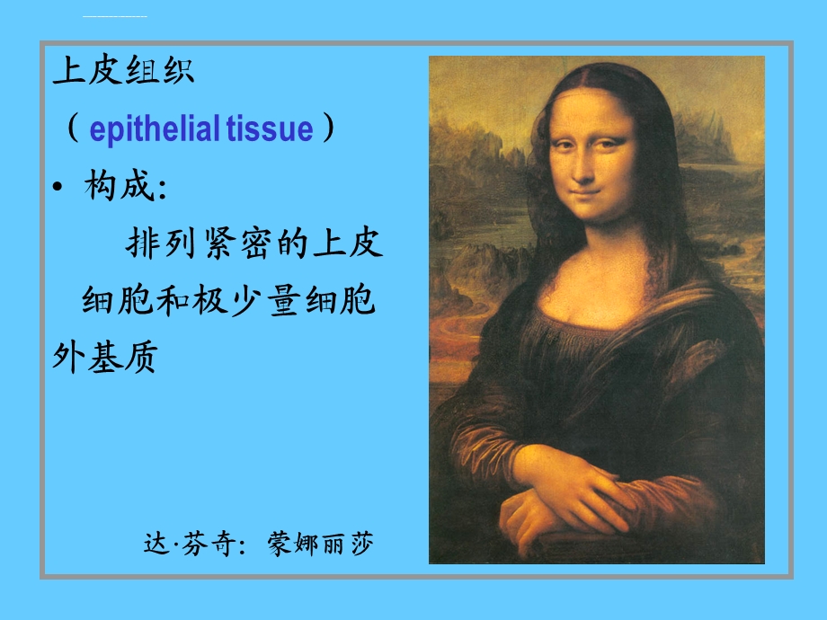 上皮组织课件.ppt_第2页