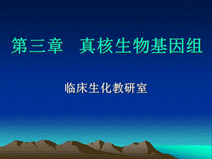 三章真核生物基因组课件.ppt