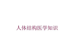 人体结构医学知识培训课件.ppt