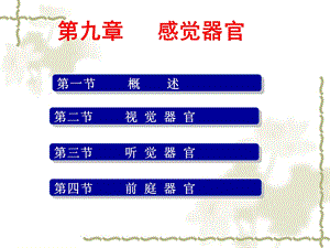 新版生理学课件感觉器官.ppt