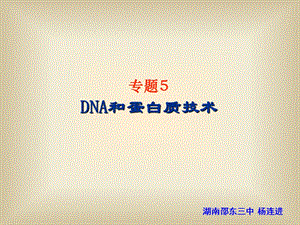 DNA的粗提取与鉴定ppt课件.ppt