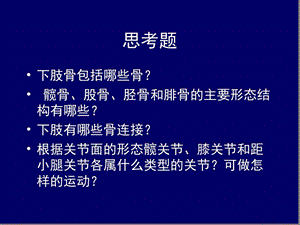 人体解剖学下肢骨及其连结医学课件.ppt