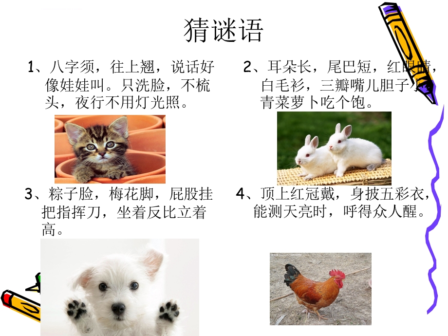 我喜欢的小动物作文ppt课件.ppt_第1页