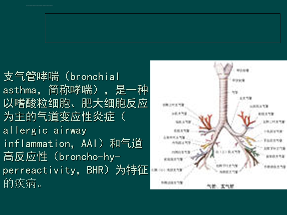 支气管哮喘护理查房ppt课件.ppt_第2页