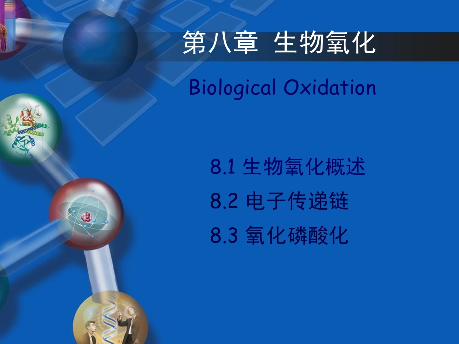 生物化学第五章生物氧化第二节电子传递链ppt课件.ppt_第1页