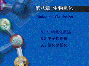 生物化学第五章生物氧化第二节电子传递链ppt课件.ppt