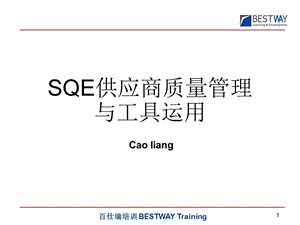 SQE供应商质量管理与工具运用ppt课件.ppt