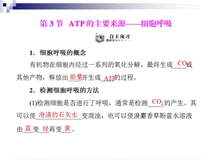 人教版必修1ATP的主要来源——细胞呼吸课件(52张).ppt