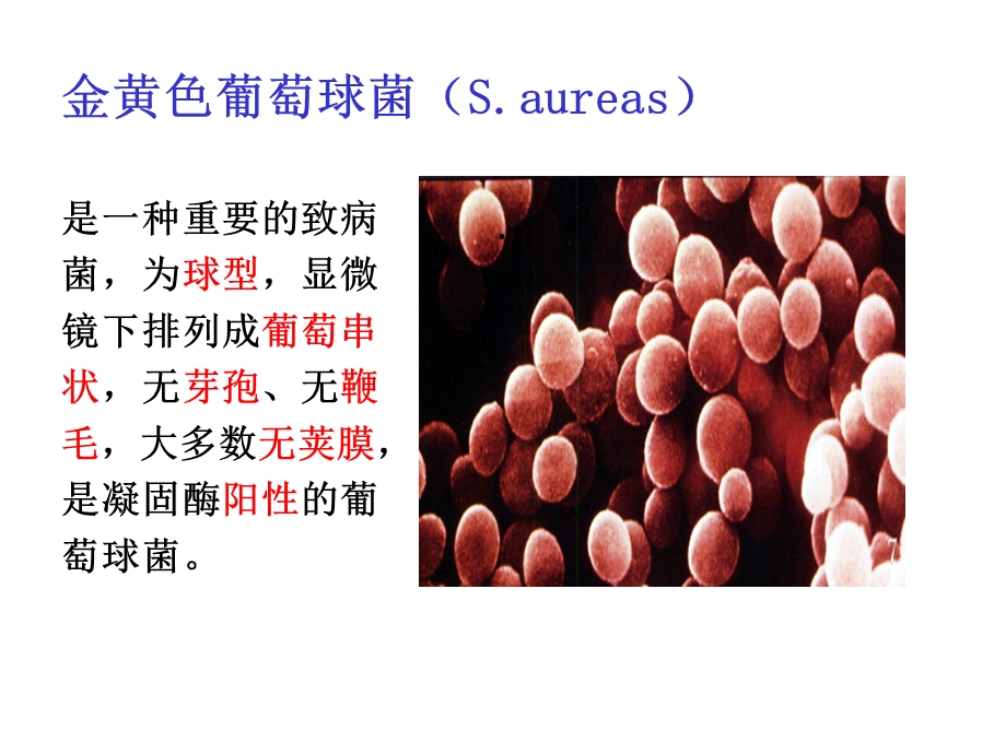 万古霉素临床应用简述医学资料.ppt_第2页