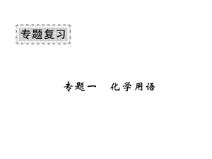 九年级化学下册专题复习一化学用语课件(新版)鲁教.ppt