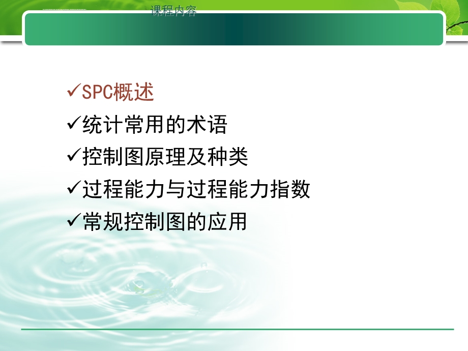 SPC教材(最全最经典)ppt课件.ppt_第2页