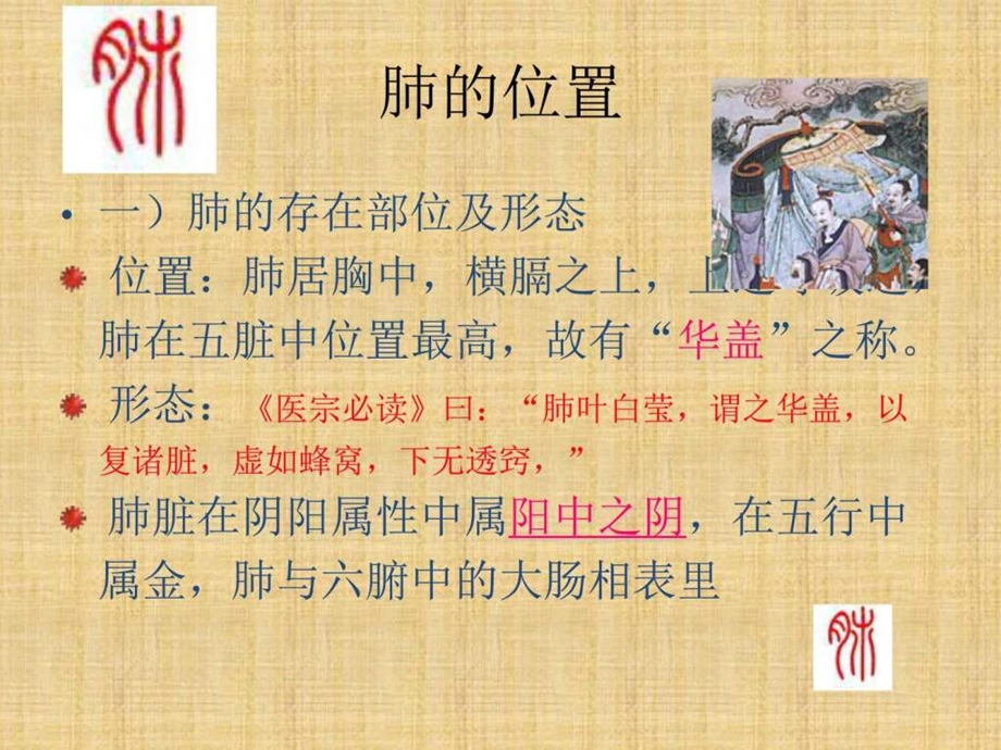 中医药学概论7藏象学说肺与大肠 图文.ppt_第2页
