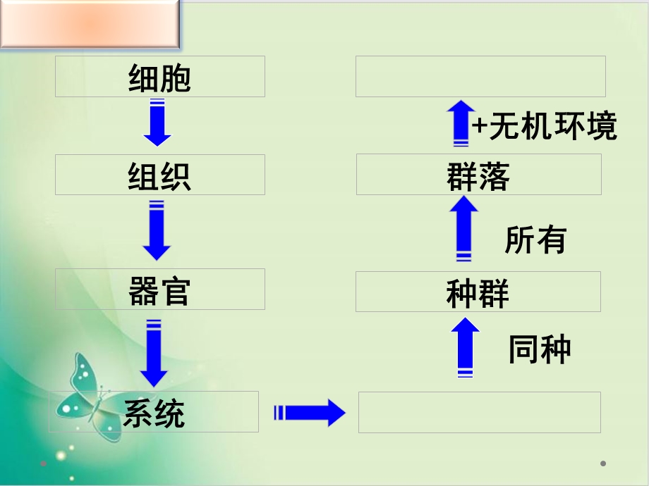 人教教材《生态系统的结构》1课件.pptx_第1页