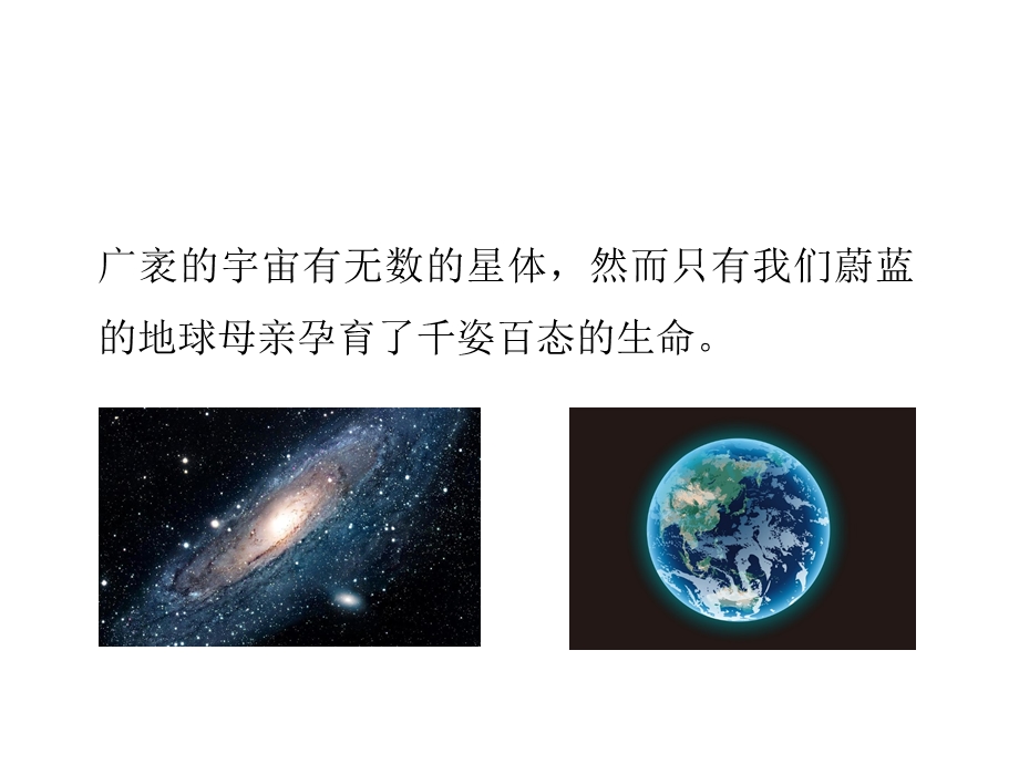 《生命的起源》课件.ppt_第2页