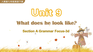 人教版英语七年级下册Unit9SectionAGrammarFocus3d课件.pptx