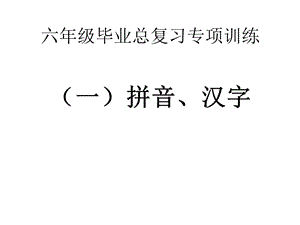 s版六年级语文小升初总复习专项练习题ppt课件.ppt