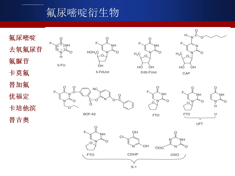 5FU及其衍生物ppt课件.ppt_第1页