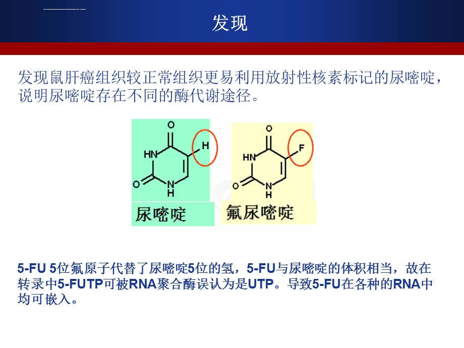 5FU及其衍生物ppt课件.ppt_第2页