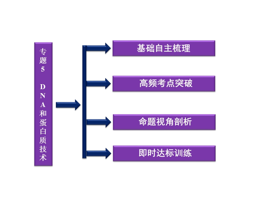 DNA和蛋白质技术ppt课件.ppt_第2页