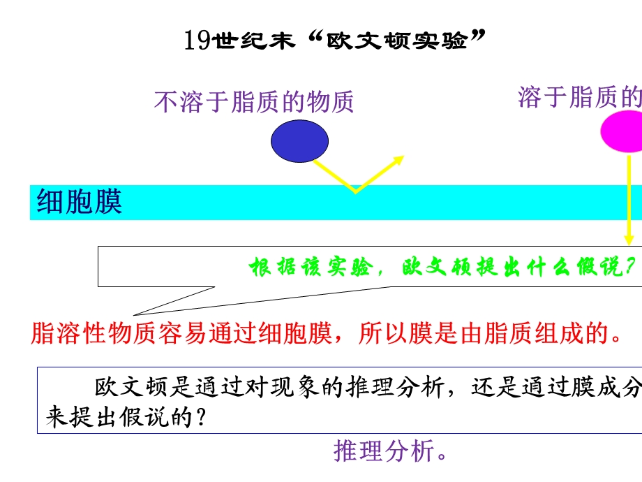 专题04细胞的物质输入与输出(复习课件)(人教版).pptx_第3页