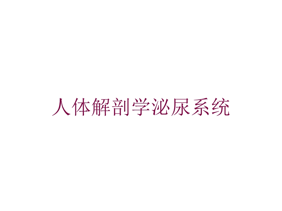 人体解剖学泌尿系统培训课件.ppt_第1页