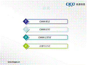 CMMI简介+过程域介绍ppt课件.ppt