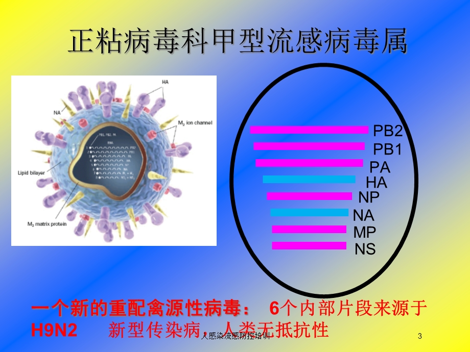 人感染流感防控培训培训课件.ppt_第3页