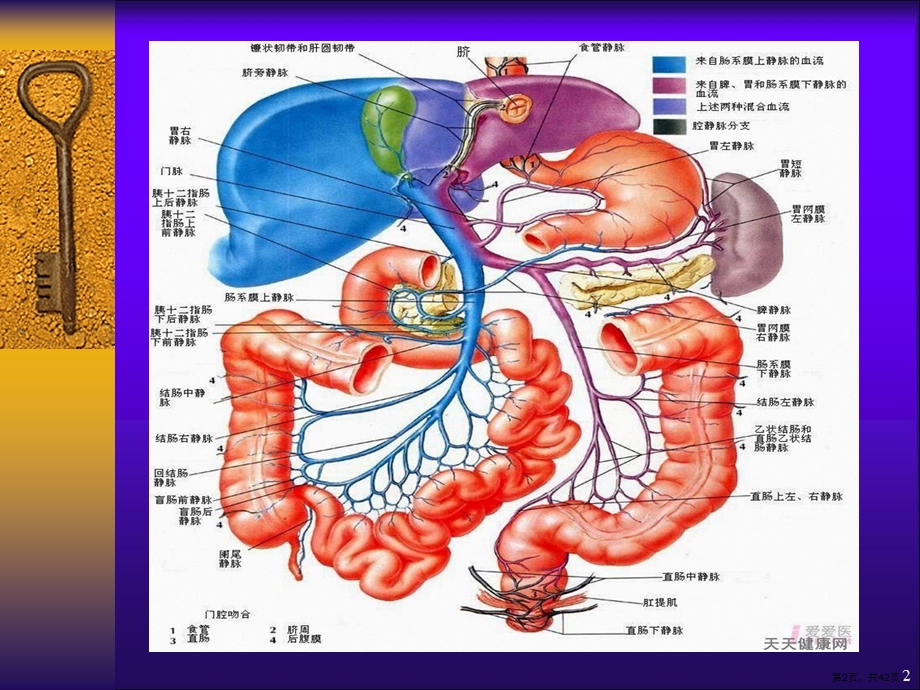 上消化道出血副本课件.pptx_第2页