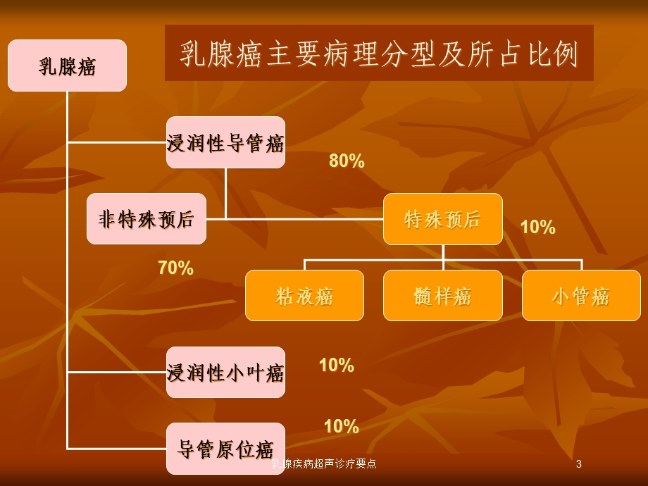 乳腺疾病超声诊疗要点培训课件.ppt_第3页