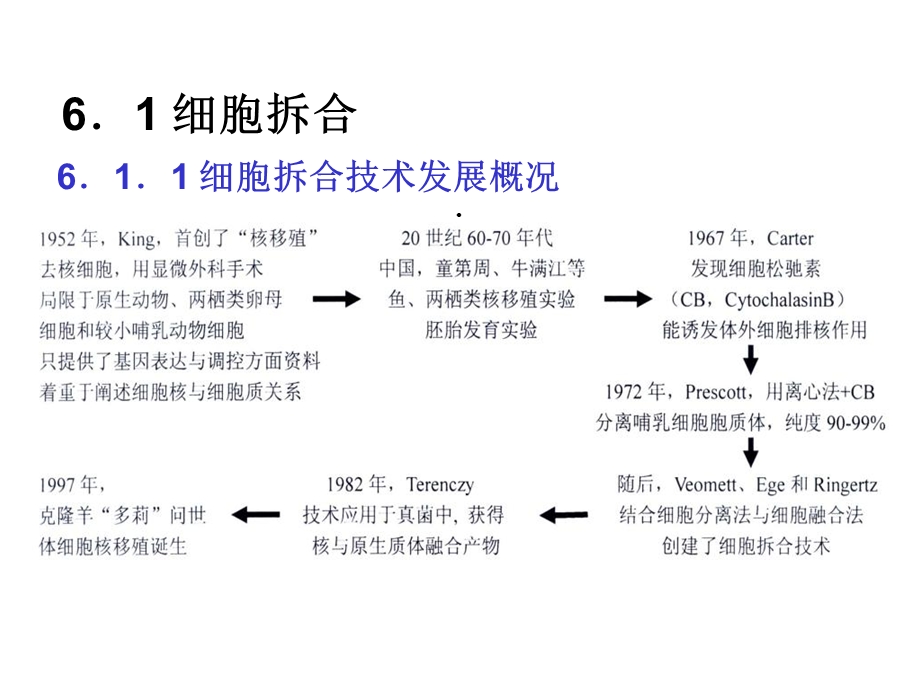 《细胞工程》第6章：细胞拆合与克隆技术2医学资料.ppt_第3页