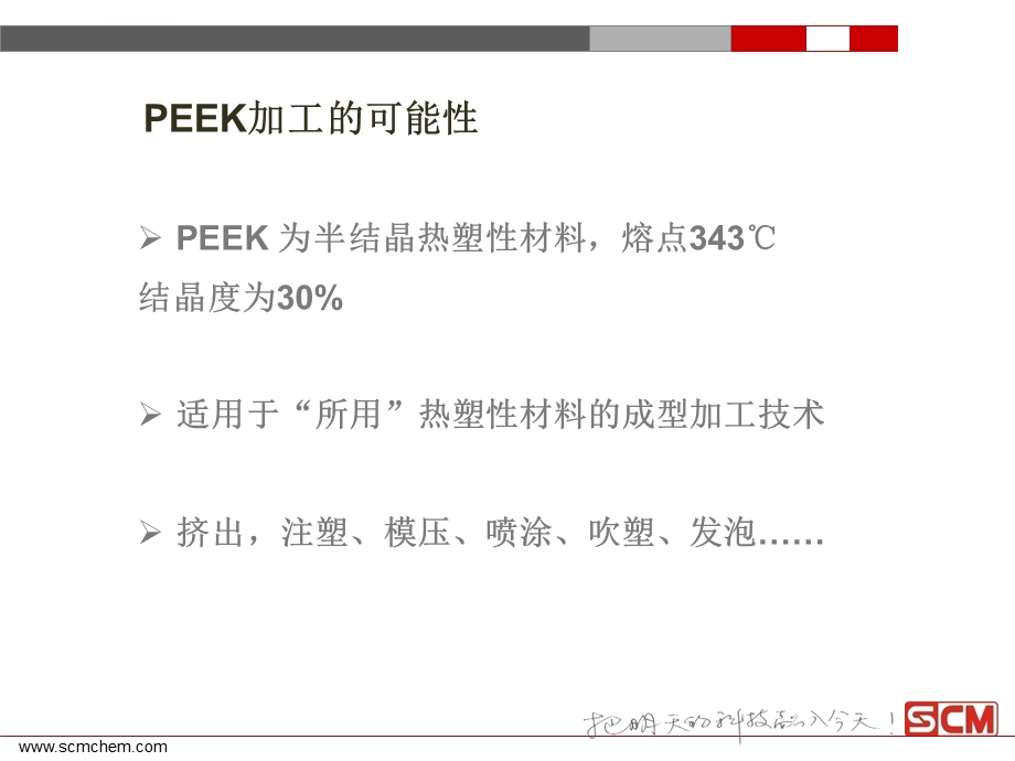 PEEK注塑加工成型ppt课件.ppt_第2页