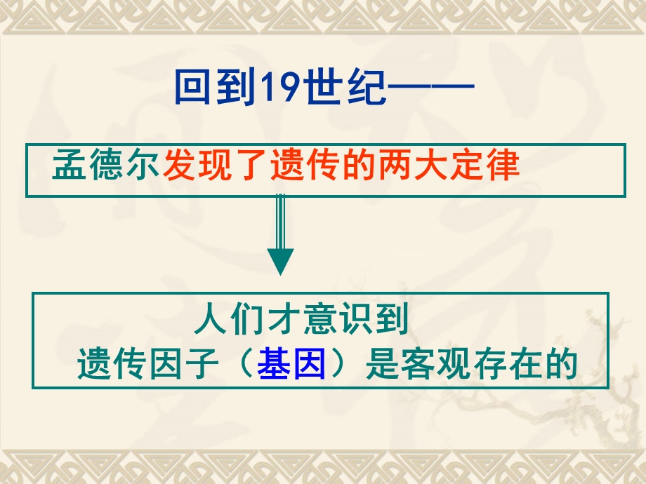 (基因在染色体上)ppt课件.ppt_第3页