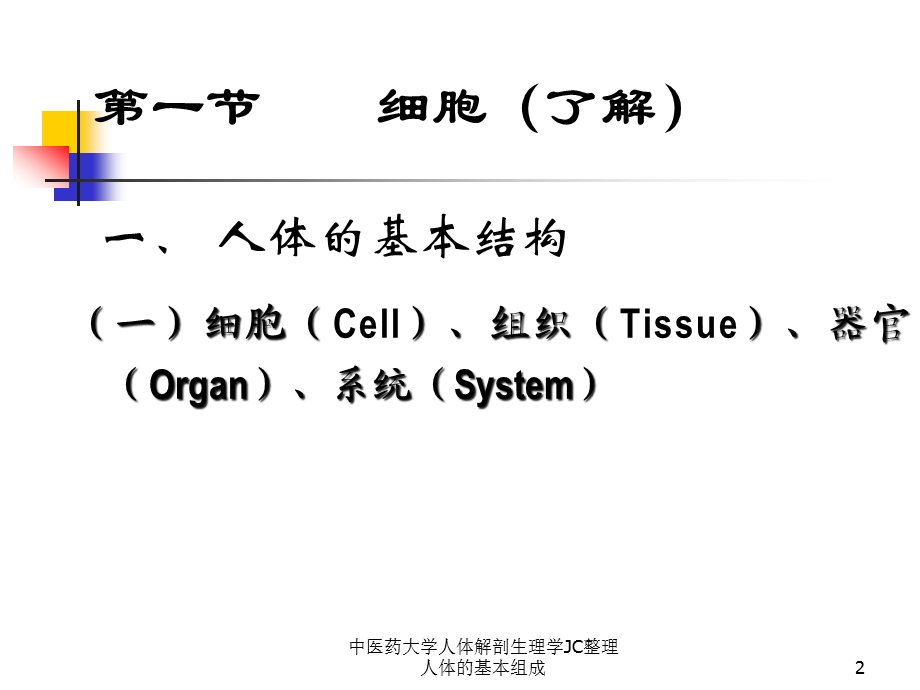 人体解剖生理学JC整理人体的基本组成课件.ppt_第2页