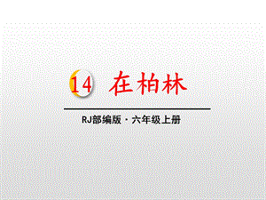 人教部编版六年级语文上册在柏林课件.pptx