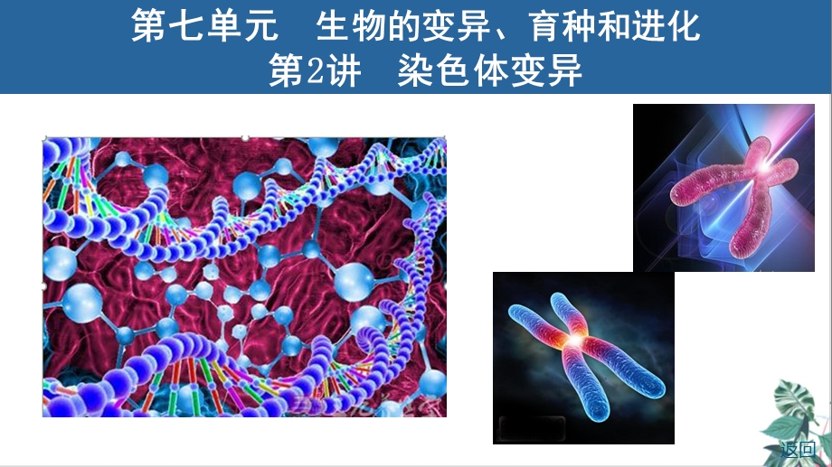 人教生物教材《染色体变异》公开课课件.ppt_第1页