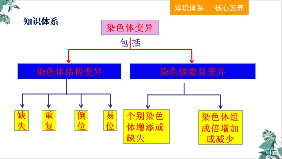 人教生物教材《染色体变异》公开课课件.ppt_第3页