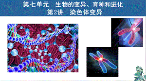 人教生物教材《染色体变异》公开课课件.ppt