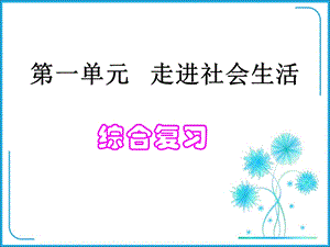 人教版道德与法治八年级上册第一单元走进社会生活复习课件(.pptx