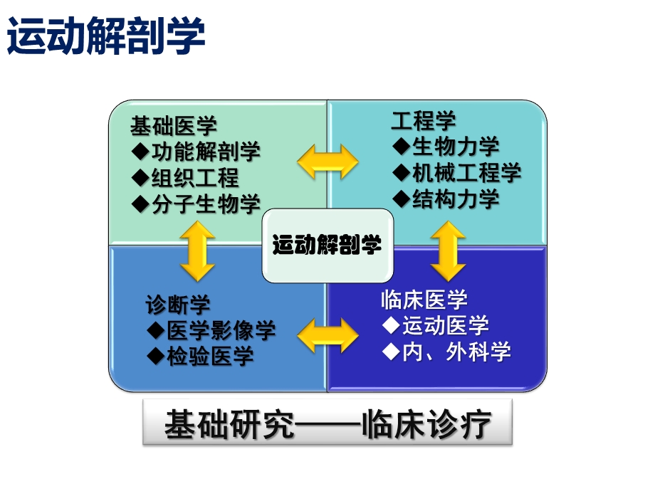 人体肩关节、膝关节运动解剖学基础.pptx_第2页